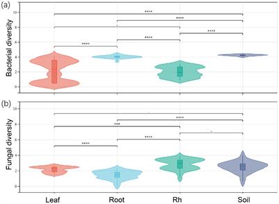 Community structure, diversity and function of endophytic and soil microorganisms in boreal forest